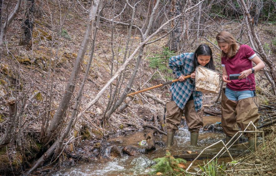 two students using a net in a stream