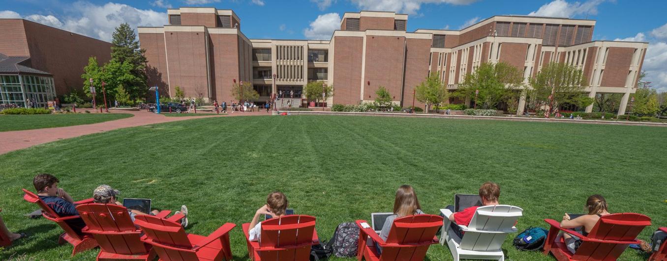 students in Adirondack chairs on a vast green lawn, all on laptop computers