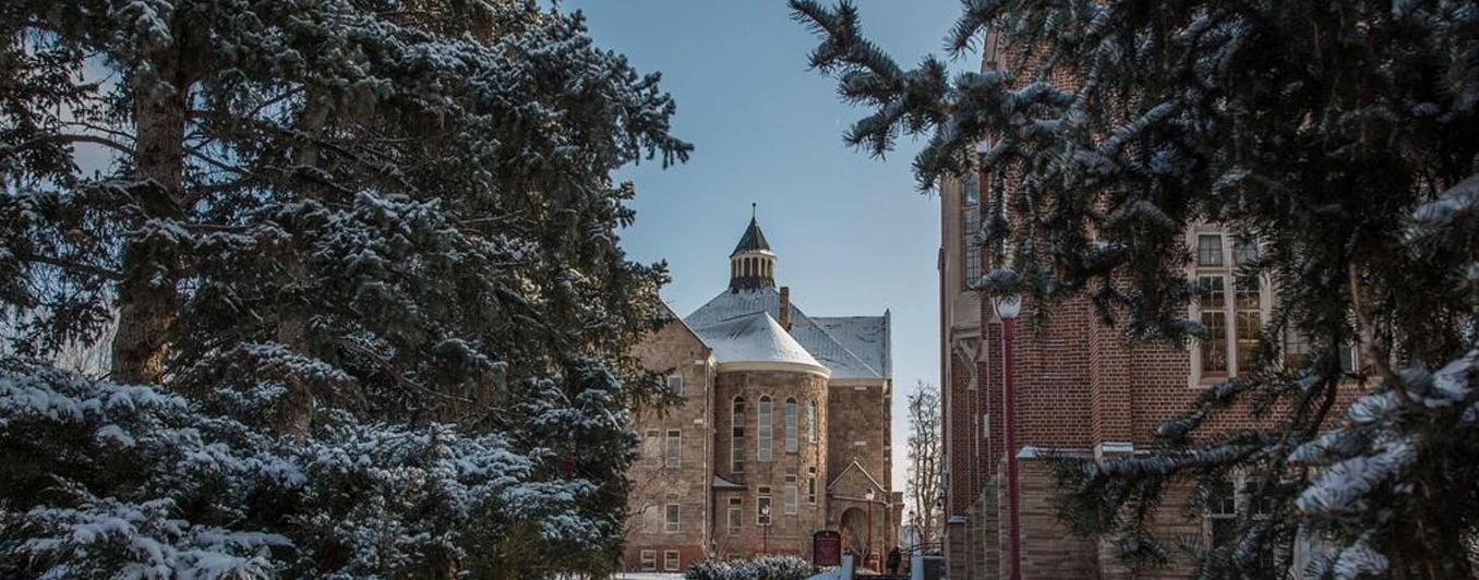trees and campus buildings in the snow