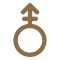 androgynous symbol - circle with plus and arrow