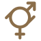 gender fluid symbol - mix of male and female icons