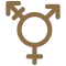 trasgender icon